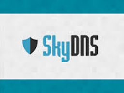 Sky dns.jpg Sky dns.jpg