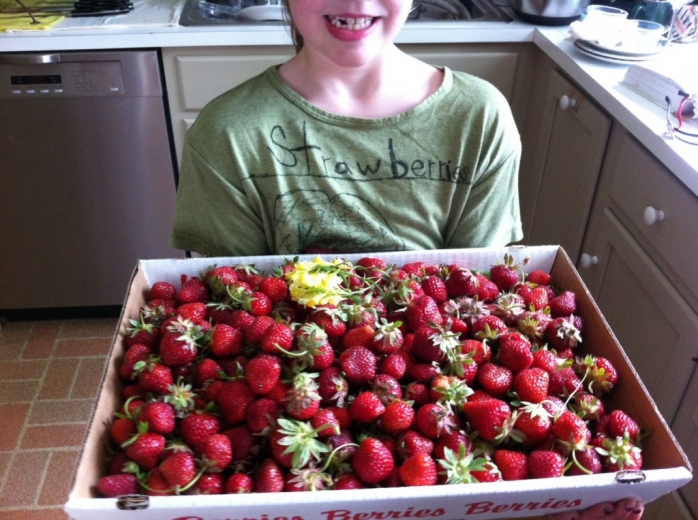 Strawberries.jpeg Strawberries