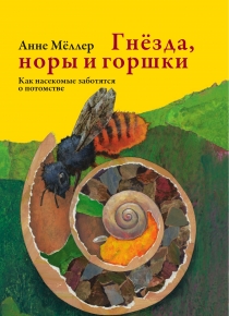 гнезда, норы и горшки.jpg