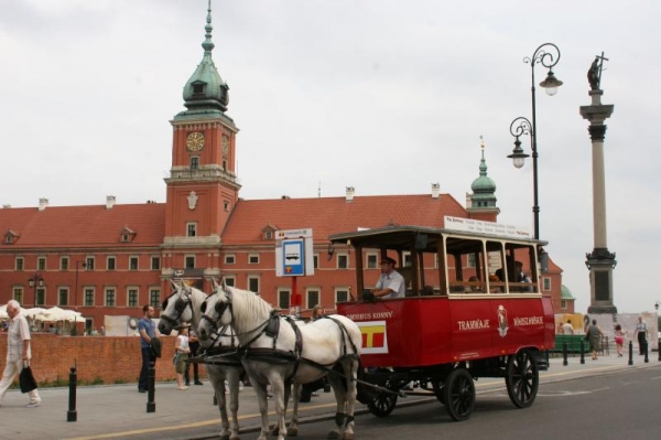 org_26_mn_omnibus_konny.jpg omnibus.jpg