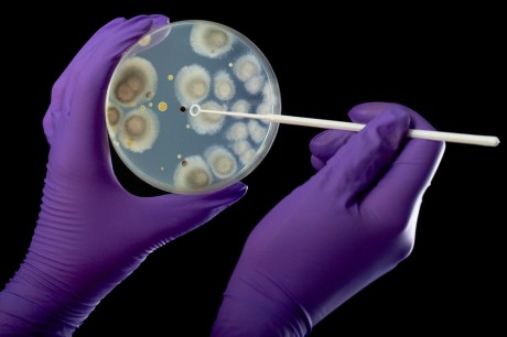 Высокий риск заражения патогенными организмами Риск заражения патогенными организмами