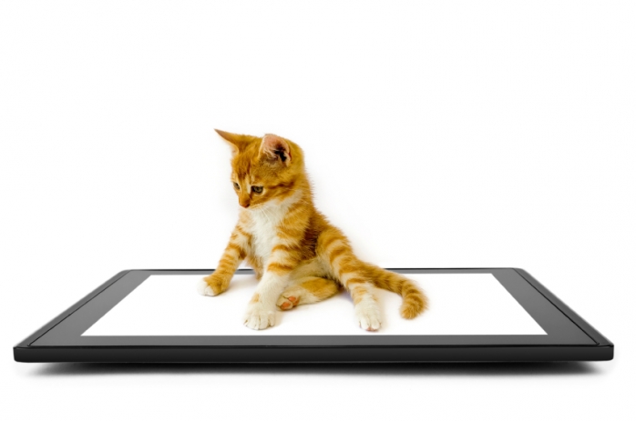 Приложения для iPad в дорогу: котики Приложения для iPad в дорогу: котики