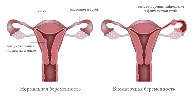 Опыт дает уверенность в собстенных силах